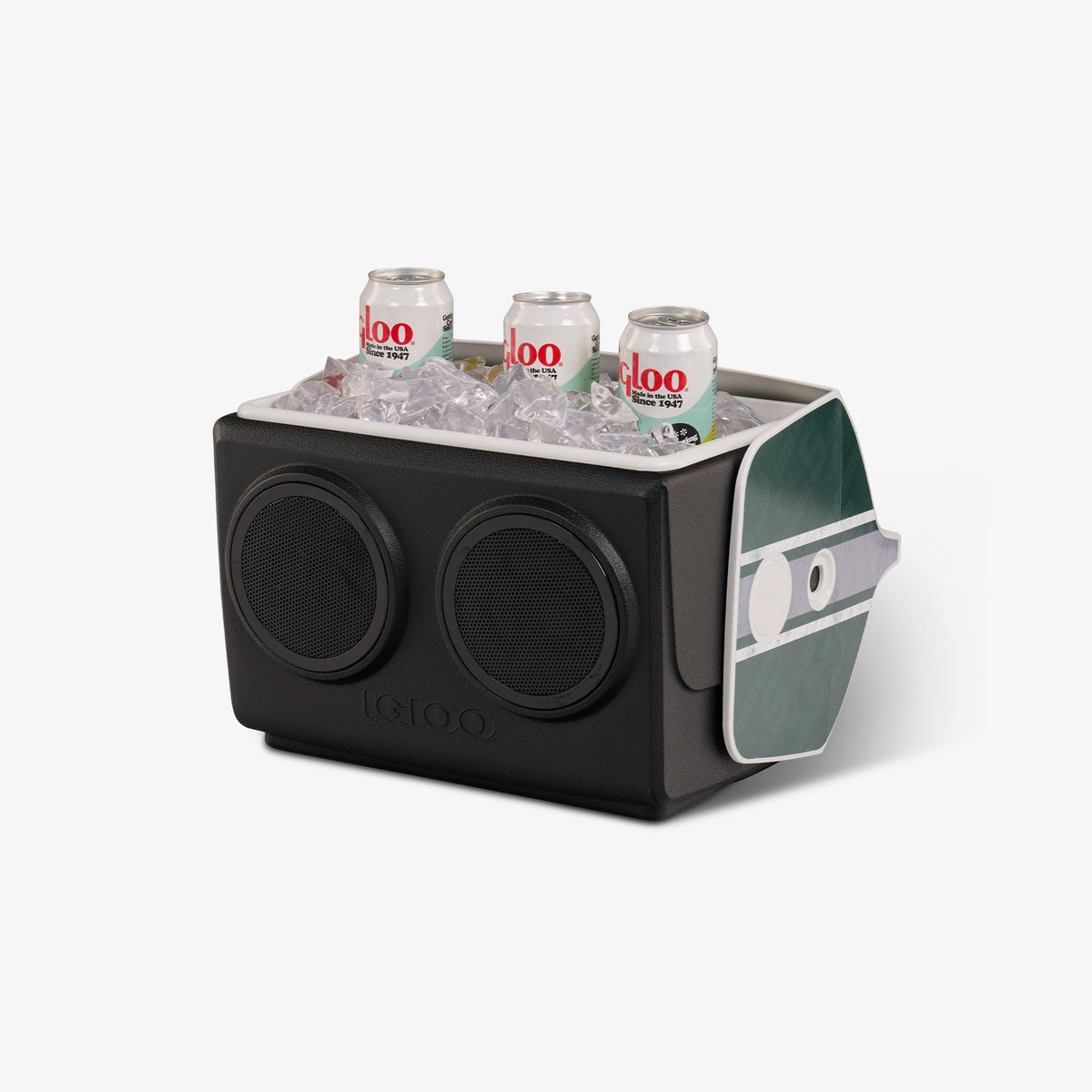 michigan-state-university-kooltunes-w3 00027730-P1.jpg
