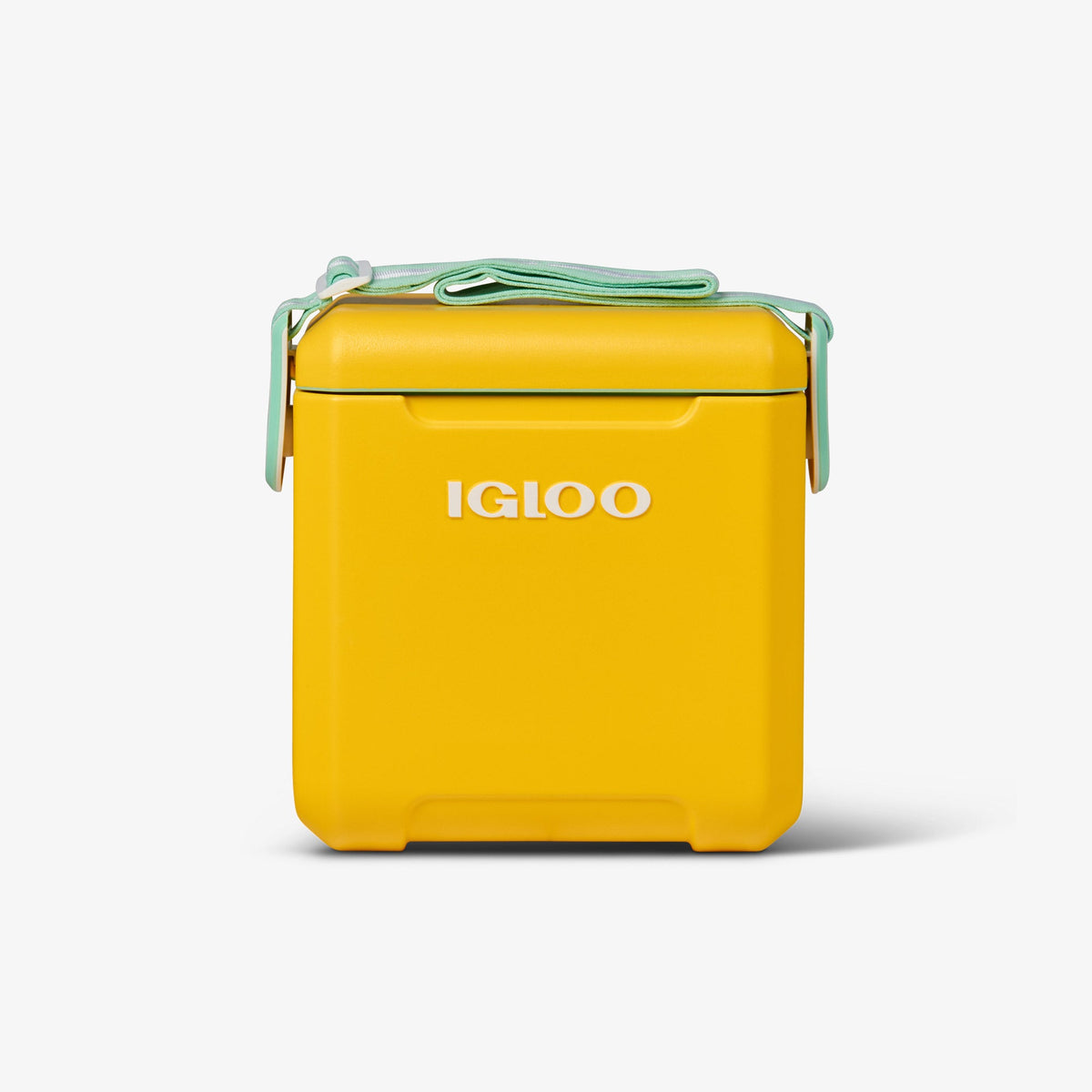 tag-along-too-cooler-i8 00032819_1.jpg