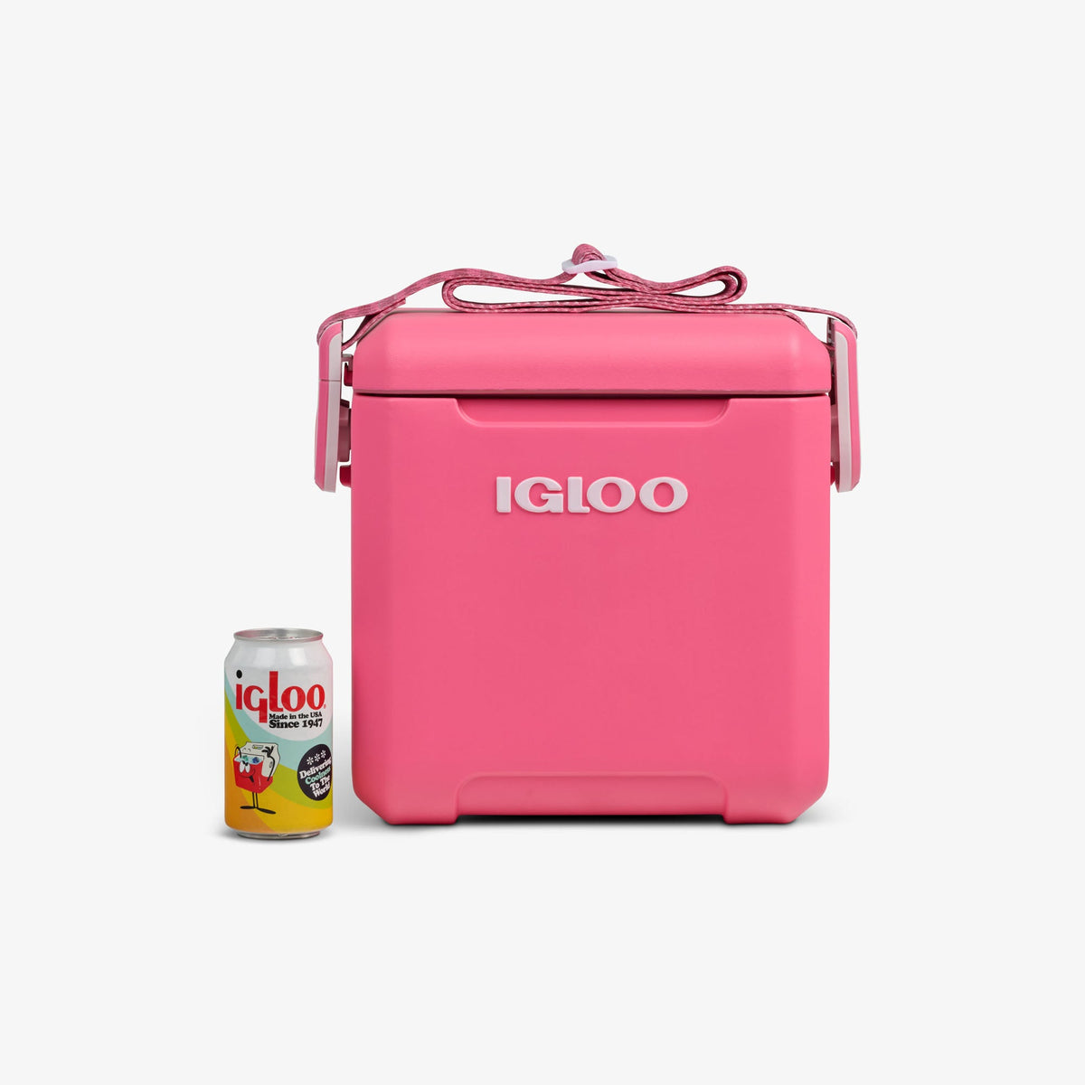 tag-along-too-remix-cooler-q2 00033199-P_861a5cd2-f15c-4217-a471-e33cc3890d9e.jpg