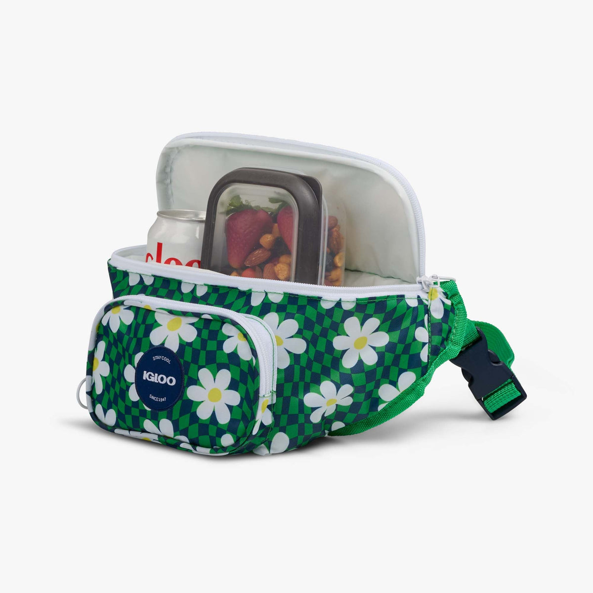 retro-fanny-pack-s6 00067206-P1.jpg